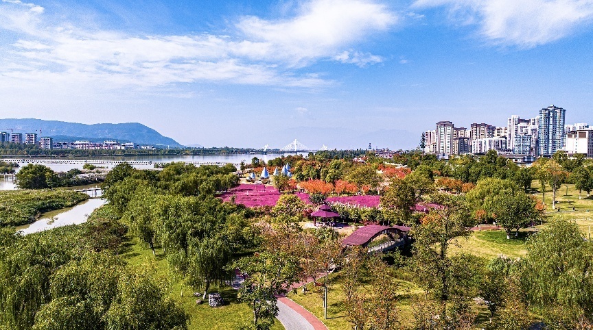 步入公園，仿佛走進(jìn)“色彩的世界”。王淦攝（資料圖片）